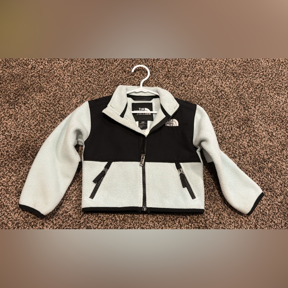 The North Face Blue and Black Fleece Jacket